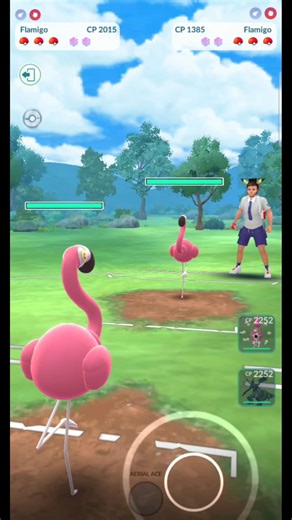 Flamigo VS Flamigo PVP Battle in #pokémongo