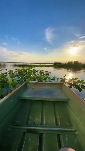 Credit: Cooper Queen 🤝🏻 @L #swamprunnermudmotors #longtailmudmotor #outdoorlife #mudmotors #boat