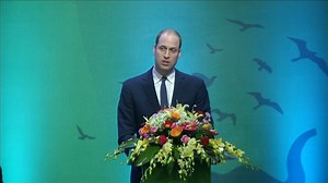 50K views · 1.6K reactions | Prince William urges nations across the world to come together and beat the illegal wildlife trade at a conference in Hanoi, Vietnam. | ITV News | Facebook