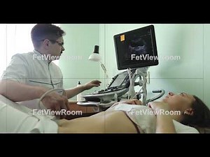 Male doctor examining the woman's abdominal organs using an ultrasound scanner.