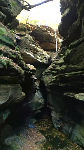 275 reactions · 51 shares | ퟯퟭퟬ± 헮헰헿헲혀. ퟭퟮ 혁헿헮헰혁혀. 헢헻헲 헶헻헰헿헲헱헶헯헹헲 헼헽헽헼헿혁혂헻헶혁혆. Farmland, timber, wildlife, trails, creeks, and more — selling at auction November 20th! ☎️ Haley Auctions and Realty: 270-726-2900 | Haley Auctions and Realty | Facebook