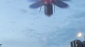 0729-tyx-AE金手指-神秘-第一人称游泳建筑-蟑螂楼-商场首-143口播-720_6889e4375d8d7