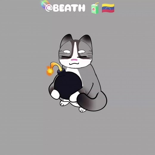 Meet Mr. Boom: The Playful Cat Returns!