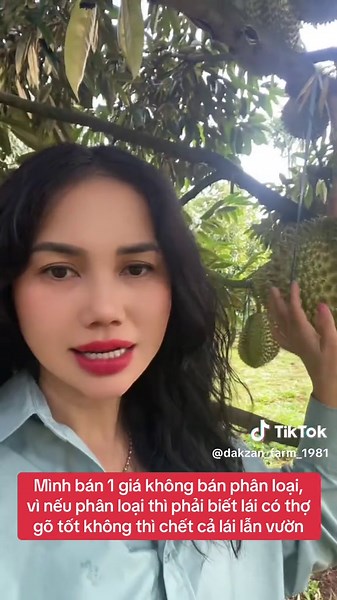 Video của dakzan_farm_1981 (@dakzan_farm_1981) với bản nhạc nhạc nền - dakzan_farm_1981