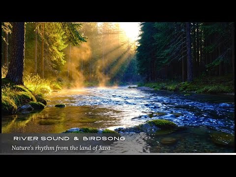 Golden Sunrise on Mountain Forest River | Relaxing Nature Scene | Soothing River Sounds