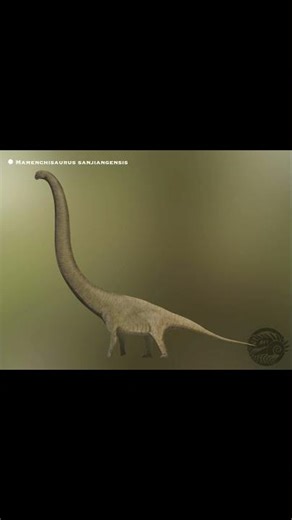 #fossil of sauropod #dinosaur Mamenchisaurus sanjiangensis discovered in #China