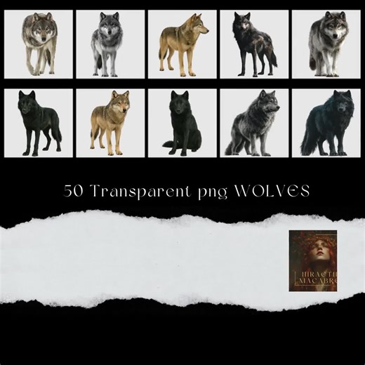 A Pack of Wolves Clipart & Digital Papers | 50 Wolf Pngs   10 Backgrounds | Commercial Use Forest Wildlife Illustrations - Etsy