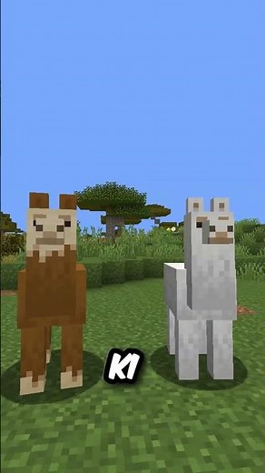 This is the rarest mob in Minecraft Now !