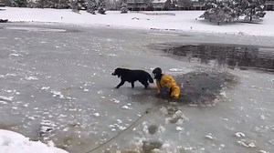 143K views · 3K reactions | Great work by South Metro firefighters! They helped rescue a pup named Bri after she fell through the ice today in Lone Tree. Remember: never attempt to rescue a pet that wanders onto a frozen body of water. | 9NEWS (KUSA) | Facebook