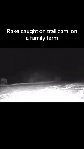 Recording of a rake like creature caught on a trail cam on a family farm. The most famous story of the Rake involves a woman waking to find the monster sitting at the edge of her bed. The character is often said to creep into bedrooms, induce nightmares, and observe the dreamers for a time before killing them. #fypシ #fyppppppppppppppppppppppp #foryou #cryptid #fypage #rakesightings #monsters #mythologytok