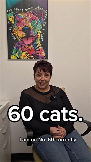 She fostered 60 cats in 18 months 🤯 | Why Foster? Ep.1 | AWA NJ