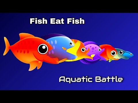 Fish Eat Fish | Underwater Fight | Aquatic Battle | Fishes