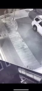 She is human but what if there are more peoople like her living in the wilderness. “Niña perro” Mexico-Tamaulipas