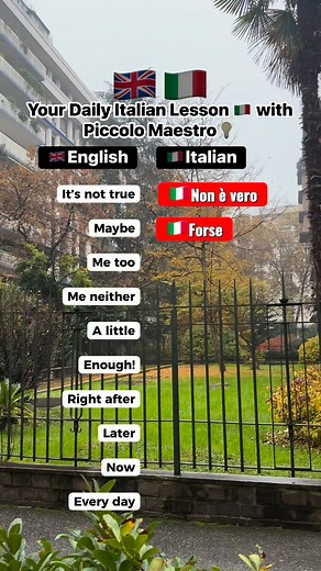 20K views · 716 reactions | Your Daily Italian Lesson  with Piccolo Maestro #LearnItalian #PiccoloMaestro #ItalianLanguage #ItalianLessons #ItalianForBeginners #ItalianMadeEasy #LearnWithMe #StudyItalian #DailyItalian #SpeakItalian #PiccoloMaestroItaliano #ItalianVibes #LanguageLearning #ItalianWords #LearnLanguages #ItalyLovers #ItalianCulture #ReelItalian #ItalianReels #ItalianLearningJourney #fblifestyle | Piccolo Maestro | Facebook