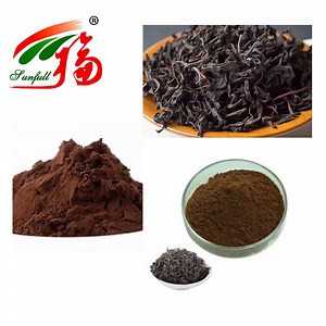 [Hot Item] Organic Premium Instant Black Tea Extract Powder with Excellent Solubility for Beverages