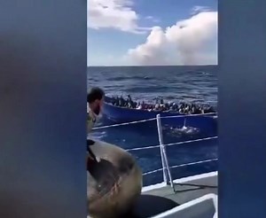 2days ago, The Libyan Coast Guard PVs "Fezzan", "Nalut" and "Zawiya" intercepted in two separate operations with a total of 482 #migrants of different nationalities. قبل يومين، اعترضت سفن خفر السواحل الليبية سفن "فزان" و"نالوت" و"الزاوية" في عمليتين منفصلتين وعلى متنها 482 #مهاجرا من جنسيات مختلفة Il y a 2 jours, les PV "Fezzan", "Nalut" et "Zawiya" des garde-côtes libyens ont intercepté lors de deux opérations distinctes un total de 482 #migrants de différentes nationalités. | Immigrants Situat