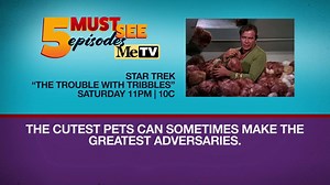 Some great episodes are coming your way this week on MeTV! | MeTV