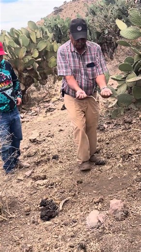 Water Dowsing | Or funny