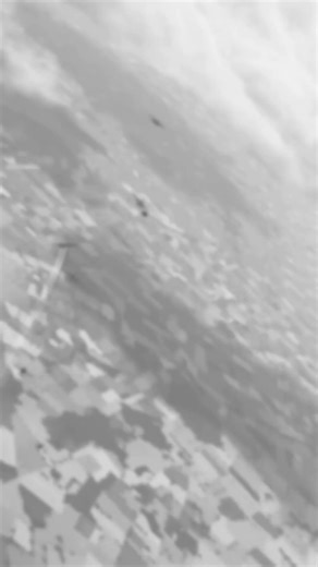 how the butcher bird got it's nickname #il2 #fw190 #fockewulf #butcherbird