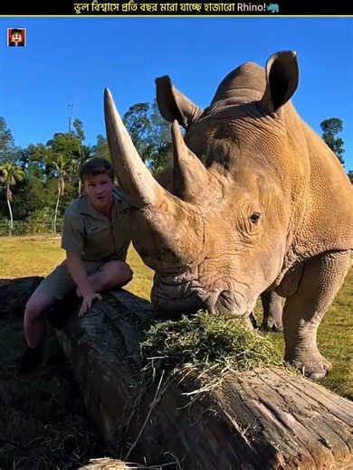 The Truth About Rhino Horn 🦏