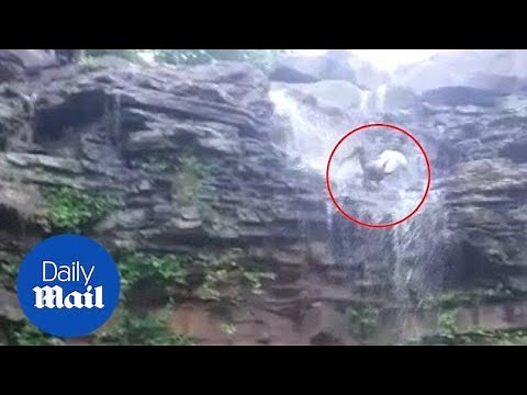 Terrifying selfie accident results in slipping down waterfall
