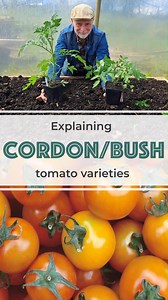 19 reactions · 6 comments | ⬇️ What is the difference between vine...