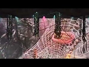 Melanie Martinez - SPIDER WEB (Official Music Video)