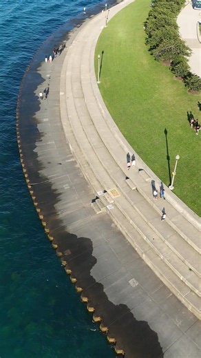 5K views · 293 reactions | Adler Planetarium Chicago Illinois | Chicago Epic | Facebook