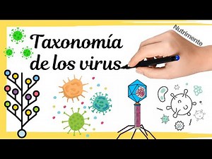 Virus Taxonomy | Current classification and nomenclature of viruses according to the ICTV