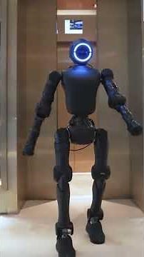 Humanoid Robots: From Companions to Superhuman