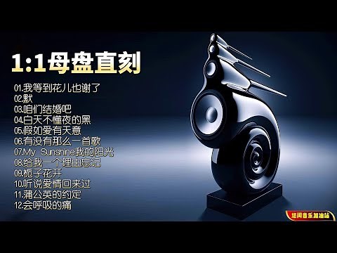 【无损音乐】空灵的嗓音，优雅而不失灵动，磁性中带着感染力！