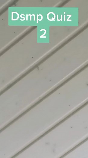 Hewwo :D #dsmpquiz #quizz #quiz #dnf #bitch #dsmp #foryou #fyp #fry #dreamsmp #facts