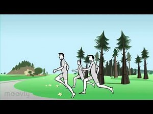 Course d'orientation séance 2