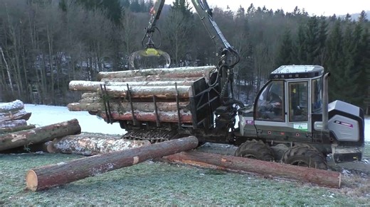 Massive Machine Pushing Timber Collection in the Forest