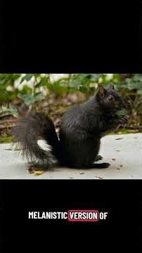 Identifying footprints