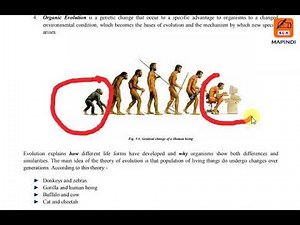 Evolution 1 1, biology form 4