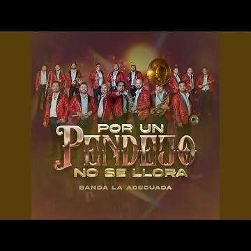 Por un pendejo no se llora