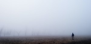 The perils of a life in isolation