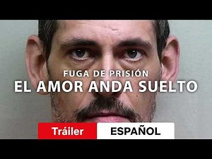 Prison Break: Love on the Run :: Netflix Trailer :: Watch or Skip