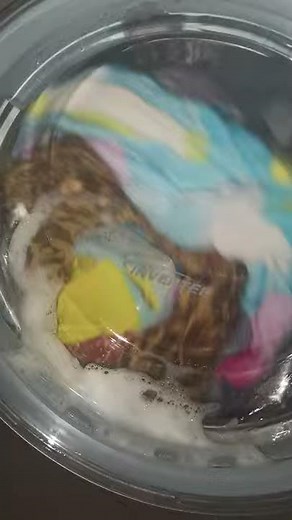 Quick Review: Panasonic Front Load Washing Machine NA-S106X1 (Philippines)