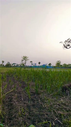 use mod Se bhi Ham gujre Hain jis mod pe sab lut jata hai ♥️♥️💐💐🙏👍