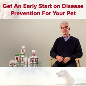 27 reactions | Your furry family member deserves the best....