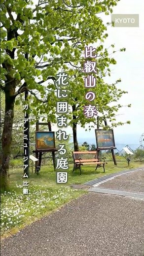 【京都】ガーデンミュージアム比叡｜山の上に広がる、春の花畑 #京都 #旅行 #癒し