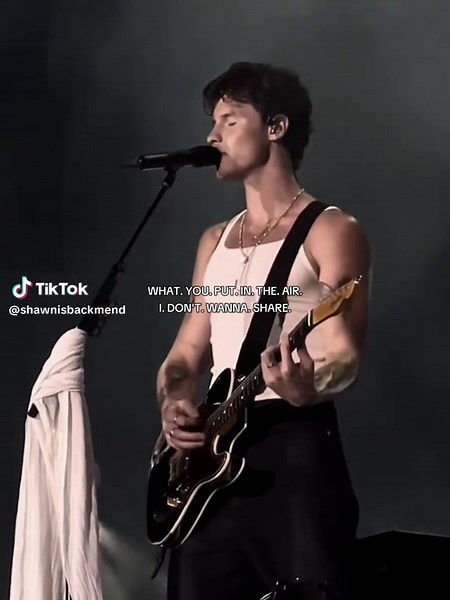 Shawn Mendes Edits: Everybody Wants a Piece of You