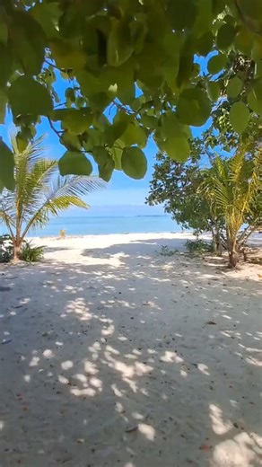 🇵🇬 New Ireland - A Tropical Paradise 🌴