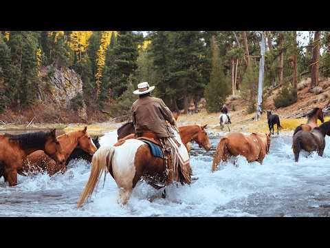 Texas Top 5 Luxury Ranches