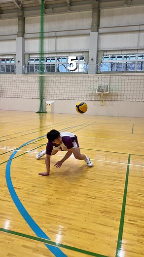 Volleyball World Record Attempt!