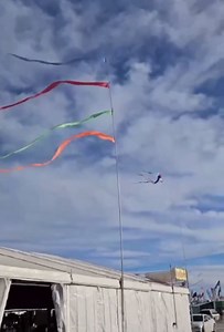 EEZ RV Products 32FT Telescoping WindSock Pole with 25' Long (Orange Color Wind Streamer), Adjustable and Easy to Assemble, Great for RV Ladder and Bunper Mount Bracket