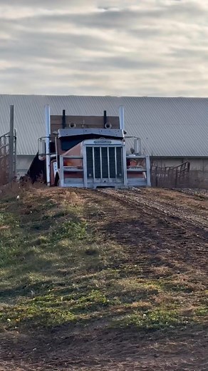 22K views · 288 reactions | Lots of sand manure got moved in the last few days! The trucks did great! It’s been a long few weeks of manure! #manure #farm #farmlife #fblifestyle #cows | Den Hoed Dairy | Facebook