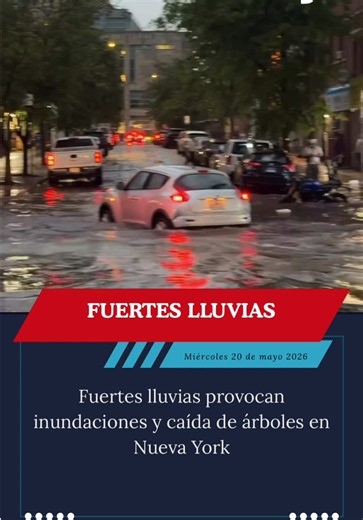 Varias zonas de la ciudad registraron calles inundadas y árboles derribados tras las tormentas del miércoles. #noticias #lluvias #inundaciones #tormentas #nyc